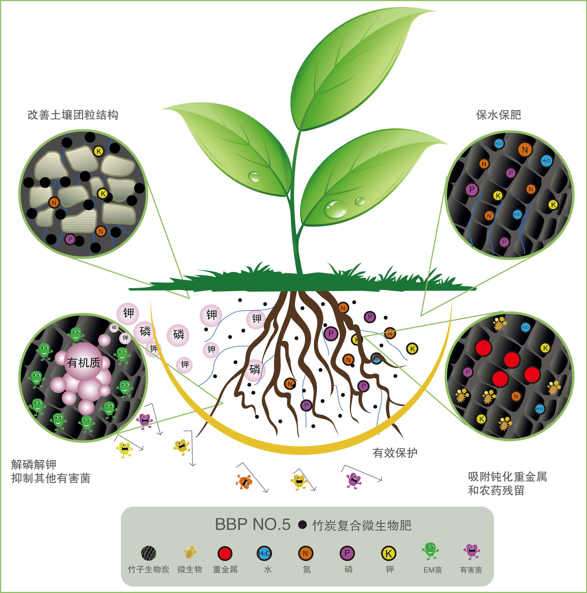 厂家直销竹炭复合微生物肥料蔬菜水果花卉通用氮磷钾缓释颗粒菌肥