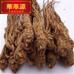 华萃源当归 当归片甘肃特产岷县当归无硫正品药材产地直销批发