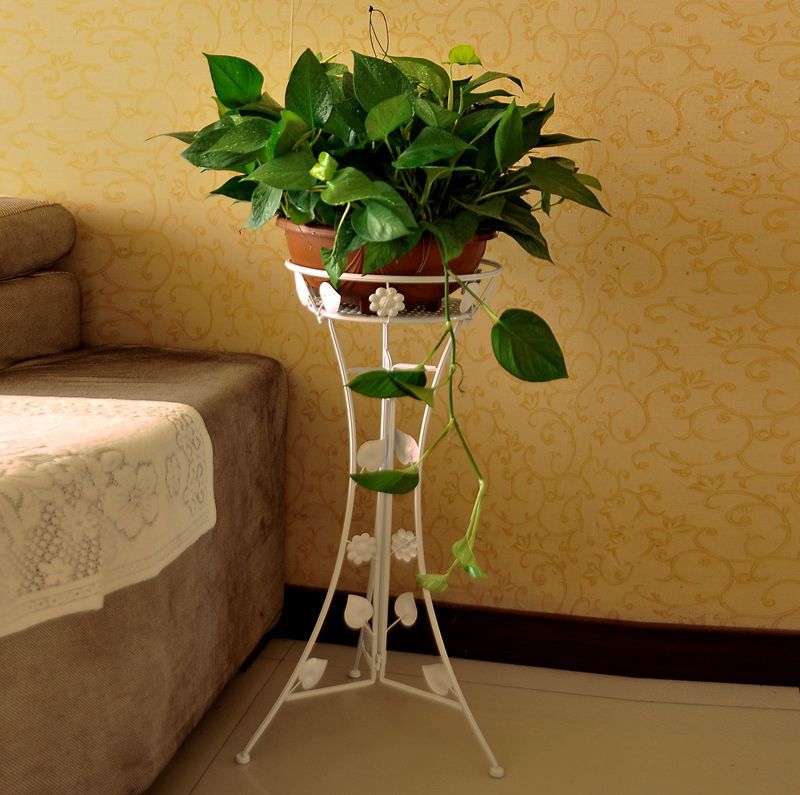 铁艺花架绿萝花架单层欧式室内客厅花卉盆栽架