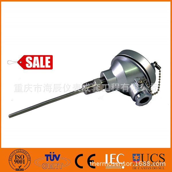 Industrial Head Assembly RTD P