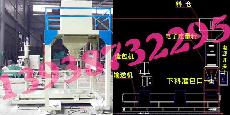 实拍照片和电子图