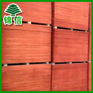 全国招商大量供应  建筑模板胶合板 锦信桉木胶合板