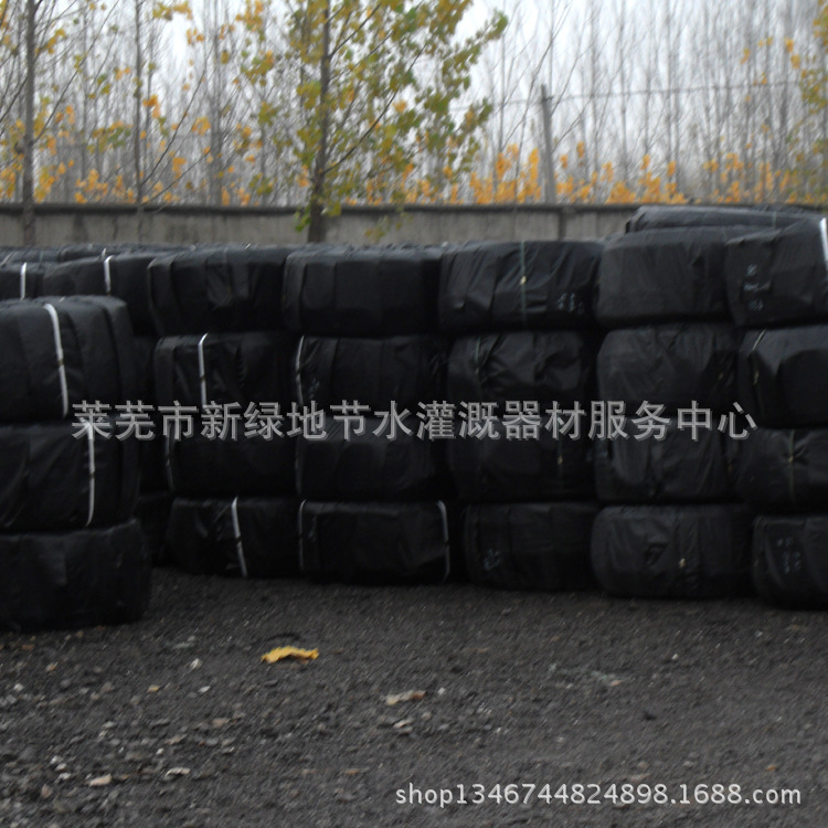 SDC12950