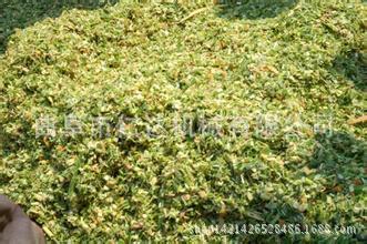 u=183703101,1679253543&fm=21&g