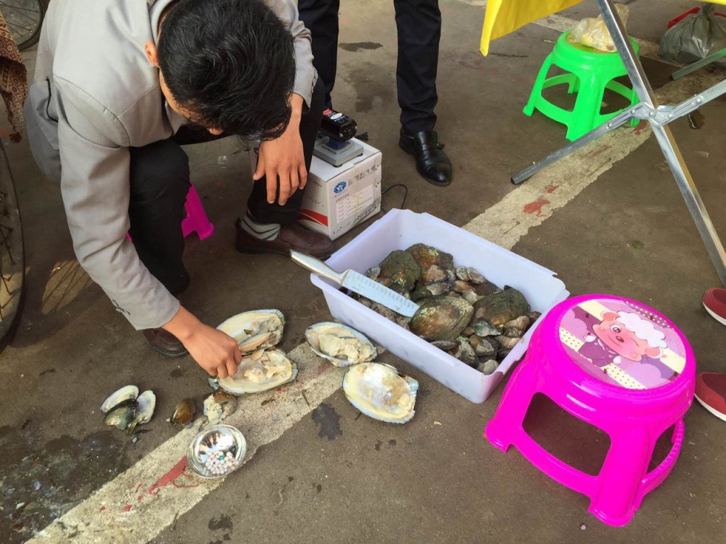 北海珍珠 珍珠吊坠 跑江湖地摊热卖珍珠 北海珍珠 珍珠论斤批发