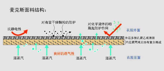 麦克斯面料结构