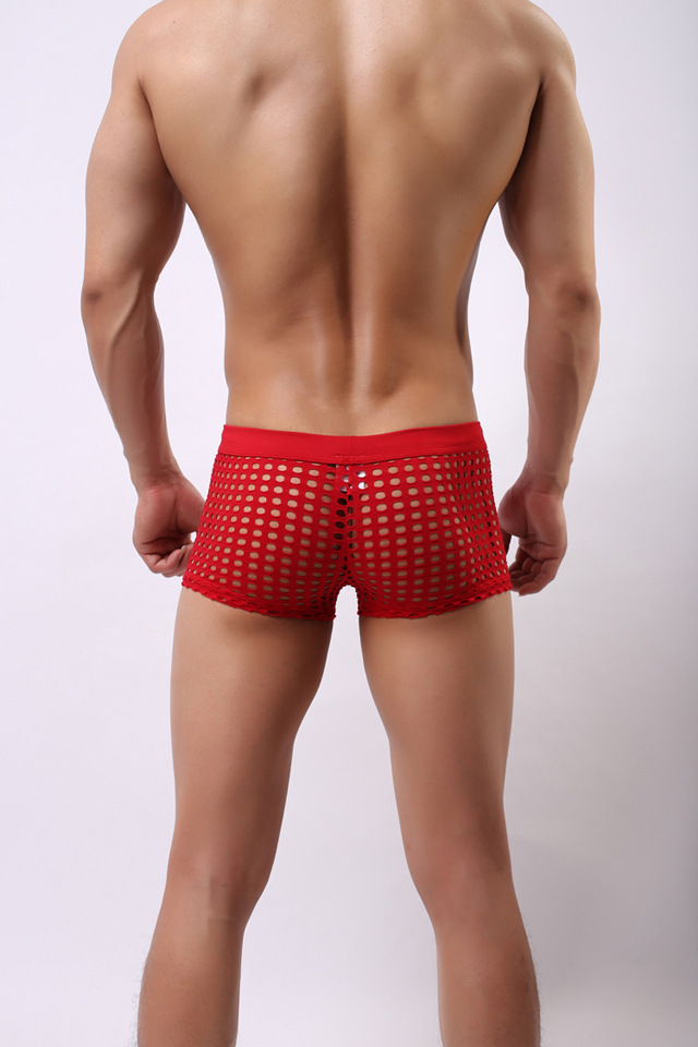 Men Sexy Mesh Underwear Transparent See Through Boxer Briefs Shorts Go J Ebay