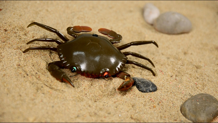 热销遥控产品 红外线遥控螃蟹 遥控爬行动物 创意新奇特