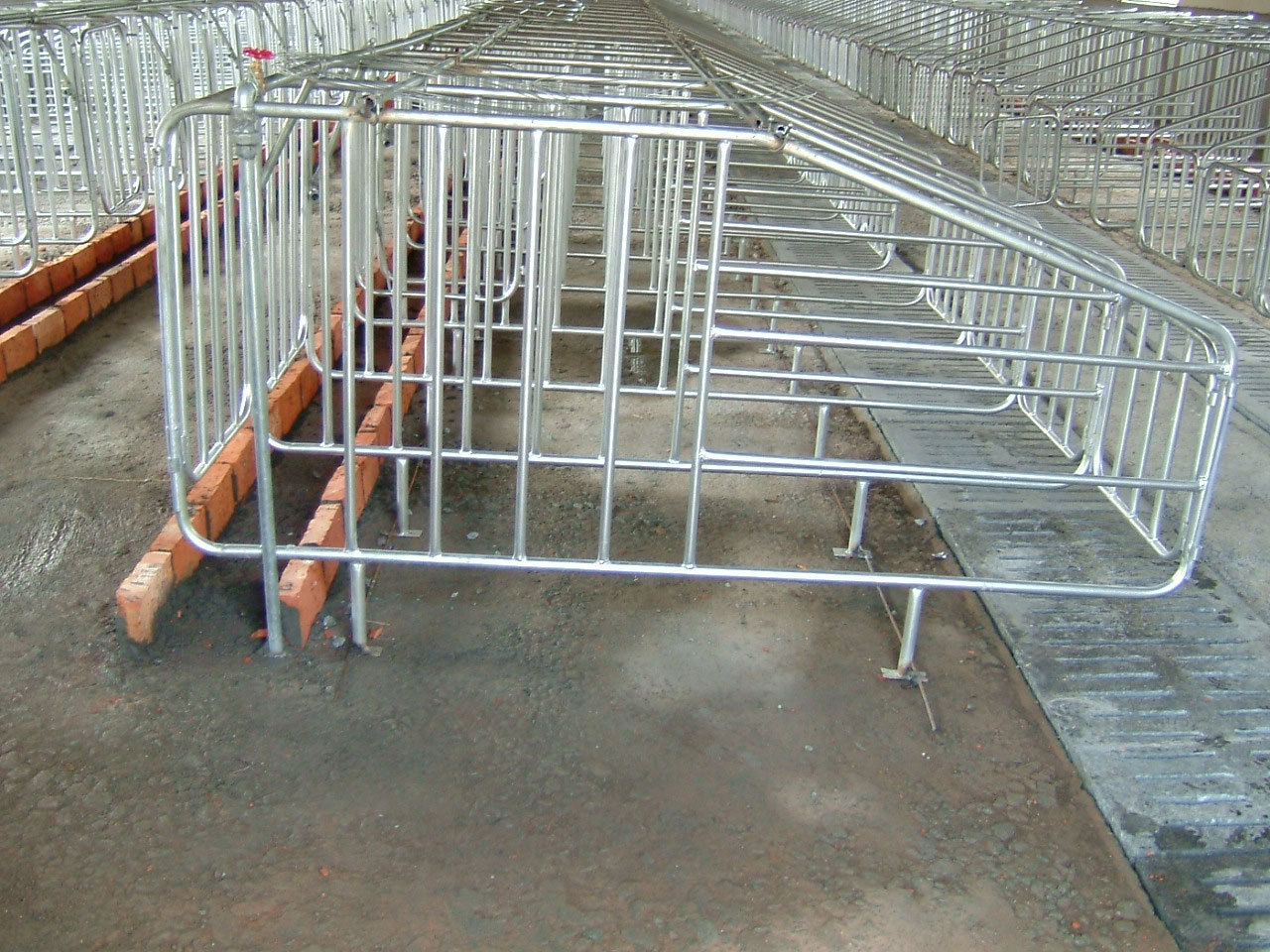 限位栏220x60 母猪定位栏 不带食槽定位栏 妊娠栏后 配栏