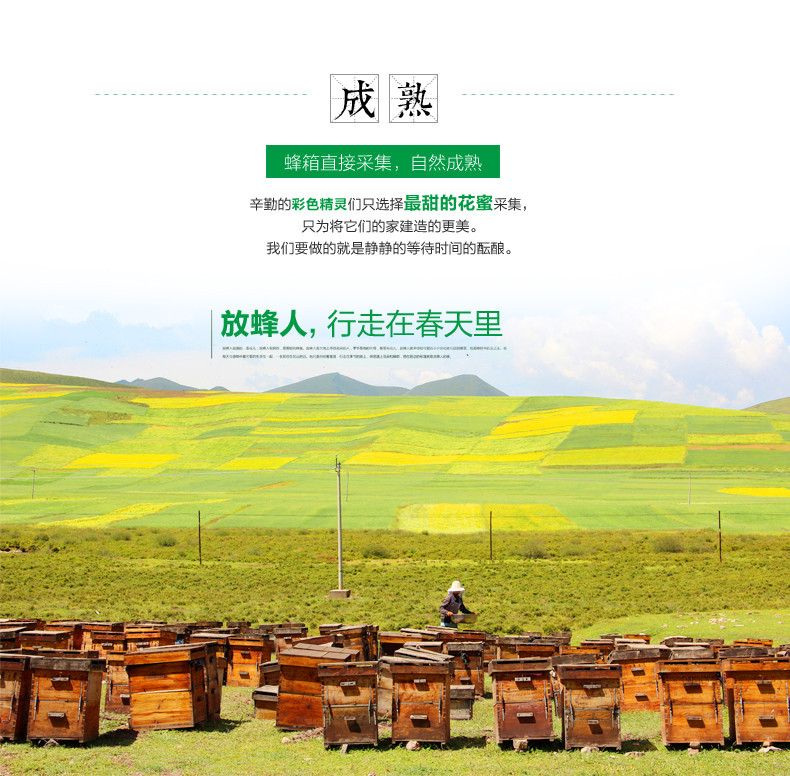 伙拼 新蜜农家自产自销 新疆纯天然活性成熟葵花蜂蜜1000g 批发