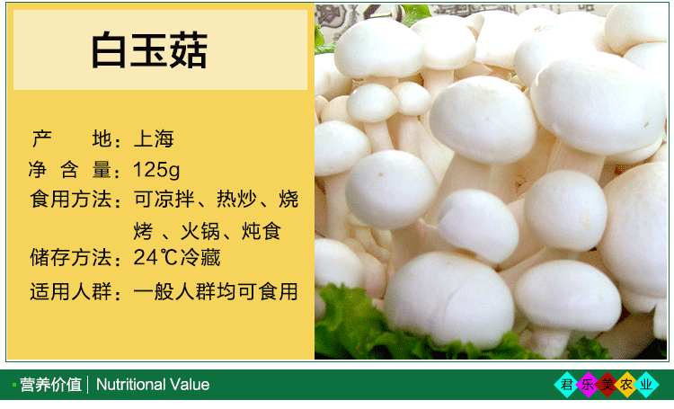 批发供应 人工菌白玉菇新鲜有机食用菌 绿色蔬菜