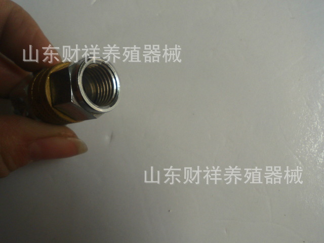 CIMG2753