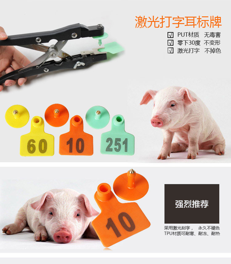 广西蒋氏方形猪耳标 铜头耳钉猪耳朵牌动物耳标可定做激光打字