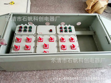 帶護罩防爆箱 防爆灌裝機控制箱 防爆電位箱 等位箱BF28159-SZF