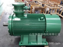 銷售眾泰YBX3-355M1-2-220KW/YBK3煤礦用防爆電機證書全/貨期短