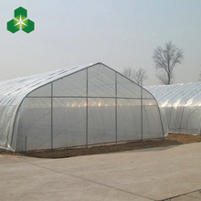 種菜大棚 農用大棚 鑫澤春秋拱棚  簡易連體大棚 廠家直供