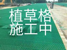 塑料植草格