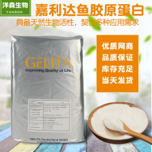 德國嘉利達GELITA進口 魚膠原蛋白粉 維麗素VERISOLFBP水解小分子
