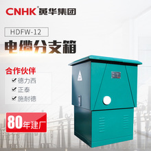 CNHK一進三出電纜分線箱DFW-12電纜分支箱 10kv戶外高壓分接箱
