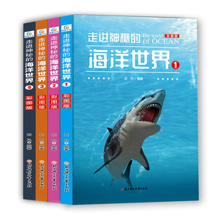 兒童課外書籍走進神秘的海洋世界彩圖版全4冊少兒科普百科全書