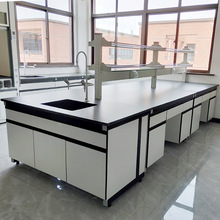 全鋼實驗台 實驗家具 化學實驗室工作台 鋼木實驗桌 實驗邊台