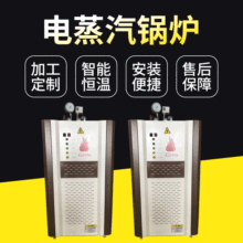 電蒸汽鍋爐蒸汽發生器壓力全自動立式洗衣房豆漿機專用廠家現貨