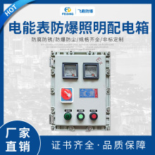 防爆電表箱防爆動力配電箱戶外防爆控制箱電能表防爆照明配電箱
