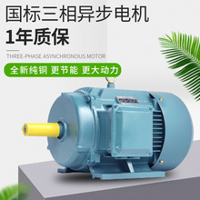 YE3-225M-4 45KW4P(45千瓦4極)多型號電機工廠直供三相異步電動機