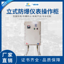 熱銷防爆開關儀表櫃 鋼板焊接防爆配電櫃 立式防爆儀表操作櫃