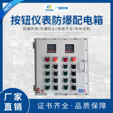 熱銷 防爆儀表控制箱 按鈕儀表防爆配電箱 電源按鈕控制箱
