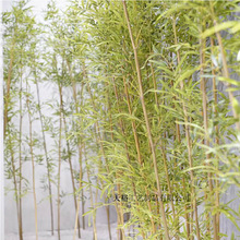 高仿真竹子隔斷屏風 酒店家居裝飾造景綠植擺件 室內仿真植物景觀