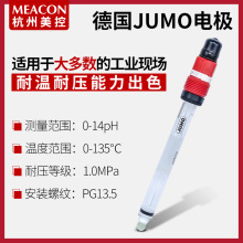 德國pH傳感器 工業在線式PH探頭 可插拔玻璃電極 ph電極