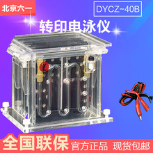 北京六一 DYCZ-40B 轉印電泳儀 (中號)