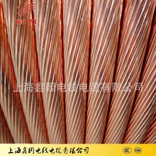 接地線硬裸銅絞線TJ70/95/185等-19年老店上海電纜廠家直銷紫銅線