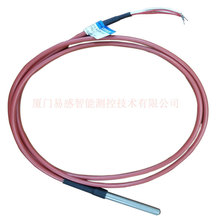 高精度導線直插式熱電阻 pt100 pt1000溫度傳感器廠家直銷