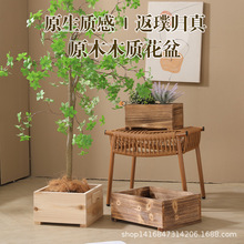 杉木花盆木質盆景養護盆栽復壯保濕透氣陽台種植外庭院碳化木箱