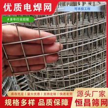 內外牆保溫抹灰鍍鋅鋼絲網建築網片電焊網不銹鋼網養殖防護鐵絲網