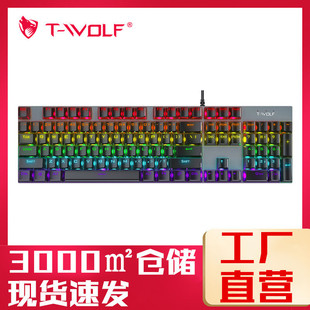 T-WOLFT17CеIPSlΑIP늸Cе104IIP