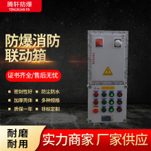 防爆消防聯動箱防爆控制箱 防爆照明箱 防爆配電箱 防爆接線箱