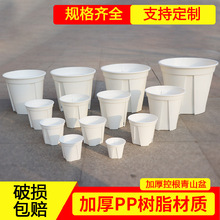 詠綠加厚白色綠色青山盆控根盆廠家批發月季綠蘿塑料花盆加侖圓形