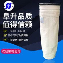 滌綸針刺氈除塵布袋 防水防油防靜電三防過濾袋 PTFE覆膜吸塵布袋