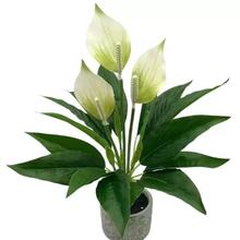 仿真花紅掌道具塑料花綠植一帆風順花盆栽桌面擺件家居人造花裝飾