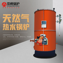 雙峰天然氣液化氣鍋爐氣柴油反燒節能多回程工業燃氣全自動熱水