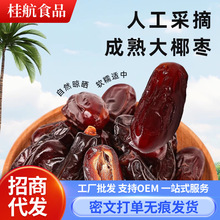 伊朗阿聯酋黑椰棗大果一件代發批發 果干零食沙漠蜜棗干黑椰棗