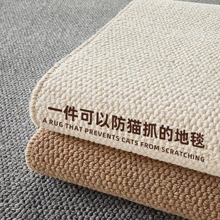 仿劍麻地毯客廳免洗可擦攝影棚房間卧室床邊飄窗全鋪大面積地墊子