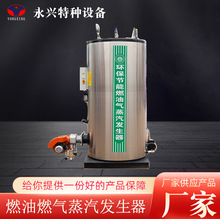廠家直供新型環保無煙鍋爐釀酒蒸菌養護橋梁衣物烘干蒸汽發生器