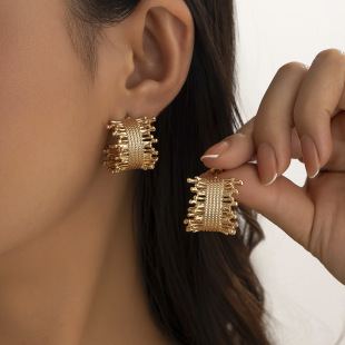 W羳Ʒ СOӋаhᔽٶh s׺ްearrings