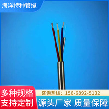 不銹鋼鎧裝測井電纜，不銹鋼鎧裝管線