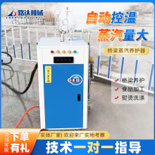 橋梁蒸汽養護器燃油電加熱蒸汽發生器全自動鍋爐混凝土蒸汽養護機