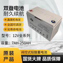 12V大容量雙登蓄電池6-GFM-10012V40AH65AH100AH120AH鉛酸儲能